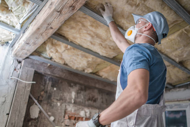 Types of Insulation We Offer in Odessa, FL
