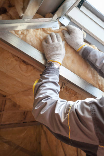 Best Commercial Insulation in Odessa, FL