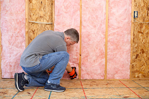Professional Insulation Contractor in Odessa, FL