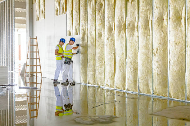 Best Specialized Insulation Services in Odessa, FL